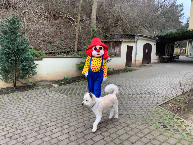 Familotel Maskottchen Happy mit Hund