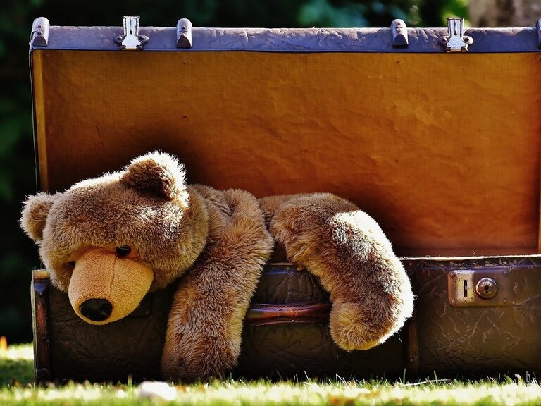 Großer Plüschbär im Lederkoffer