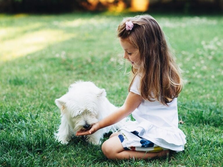 Mädchen streichelt einen Hund auf einer Wiese.