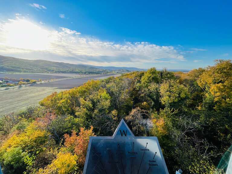 Panoramablick auf verfärbte Bäume im Herbst