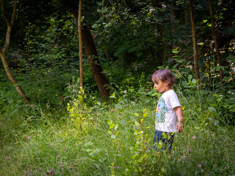 Kind steht im Wald und erkundet die Natur