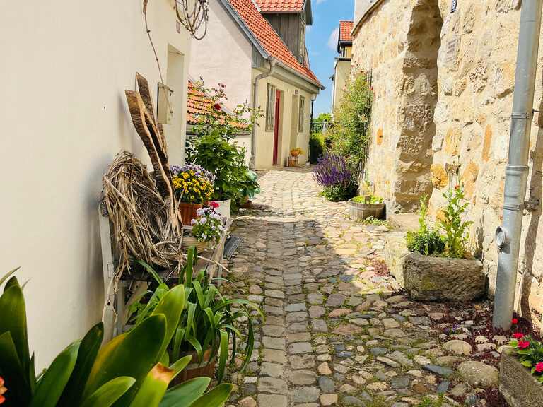 Malerischer Weg mit Pflanzen